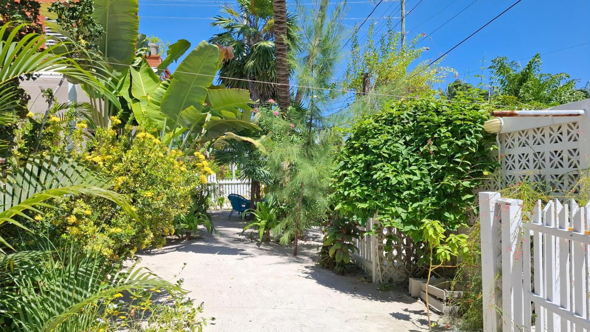 Villa Casa Amancer - sea view, pool&tropical garden Cayo Caulker Exterior foto