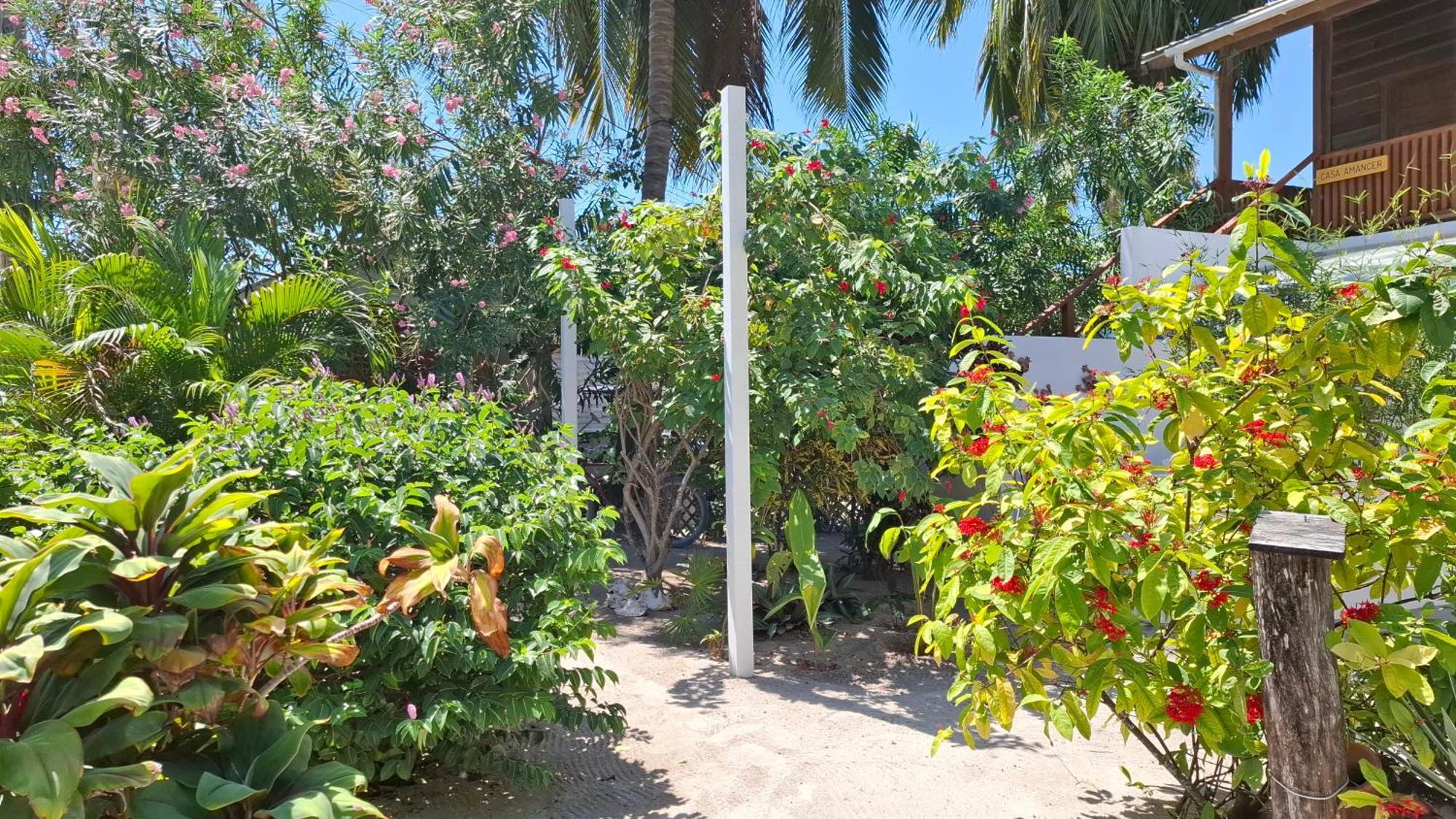 Villa Casa Amancer - sea view, pool&tropical garden Cayo Caulker Exterior foto