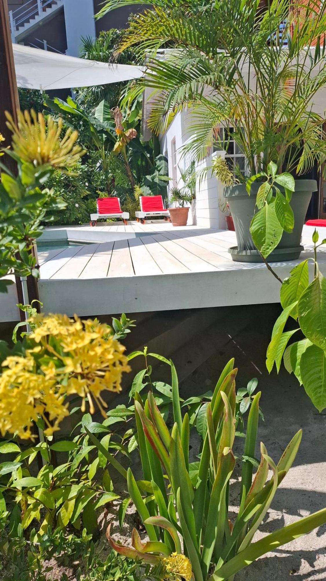Villa Casa Amancer - sea view, pool&tropical garden Cayo Caulker Exterior foto
