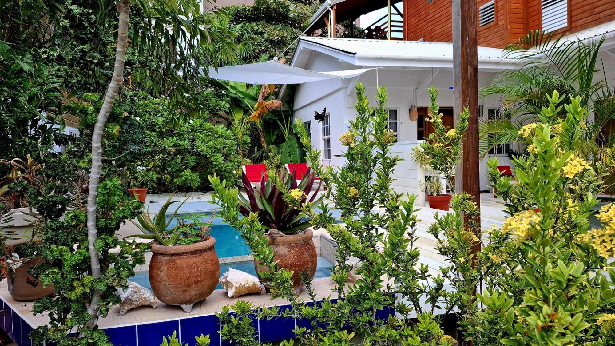 Villa Casa Amancer - sea view, pool&tropical garden Cayo Caulker Exterior foto
